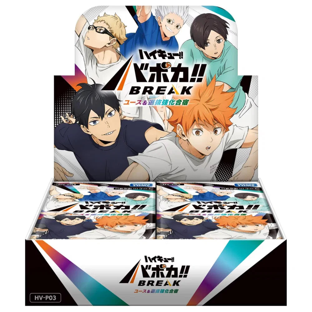 Haikyu!! - HV-P03 - All-Japan Youth & Miyagi First Years' Selection Training Camp - Display JP