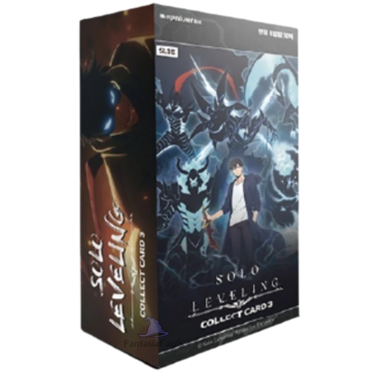 Mapniverse - Solo Leveling Volume 3 - Display [KOR]